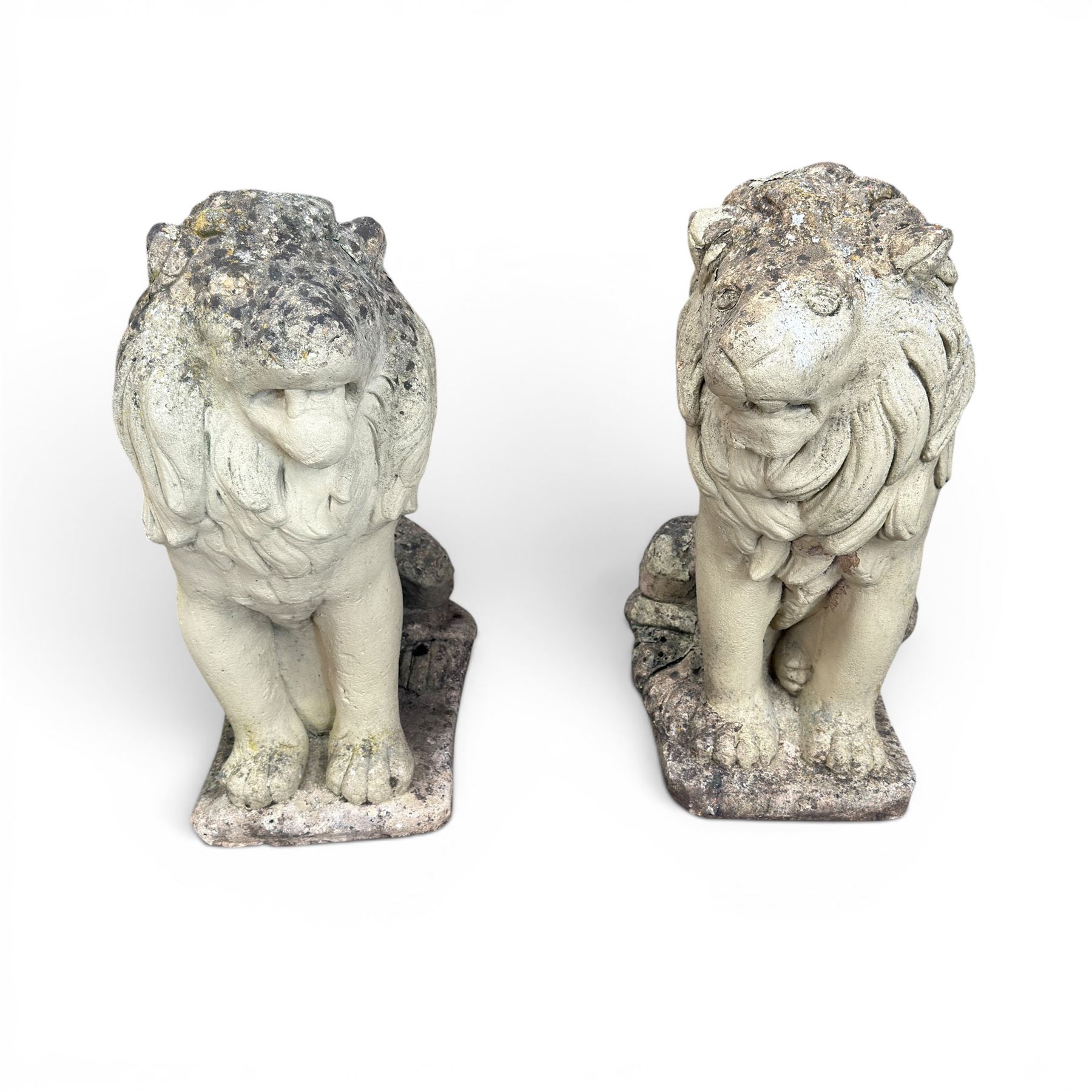 Pair of cast stone garden lions, seated on rectangular plinths