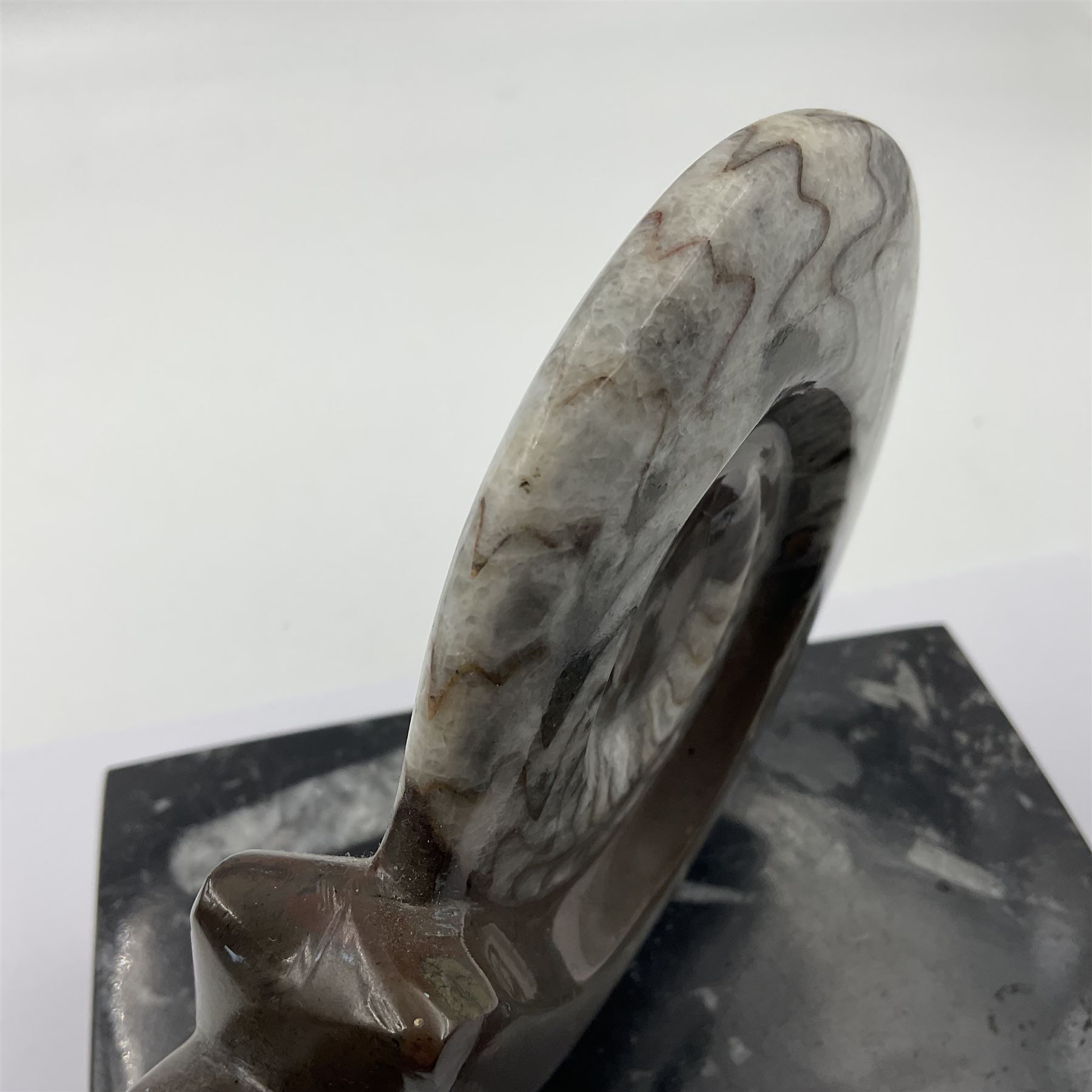 Goninite sculpture, poslised goninite, mounted upon a rectangular marble base with with orthoceras and goniatite inclusions, age: Devonian period, location: Morocco, H18cm