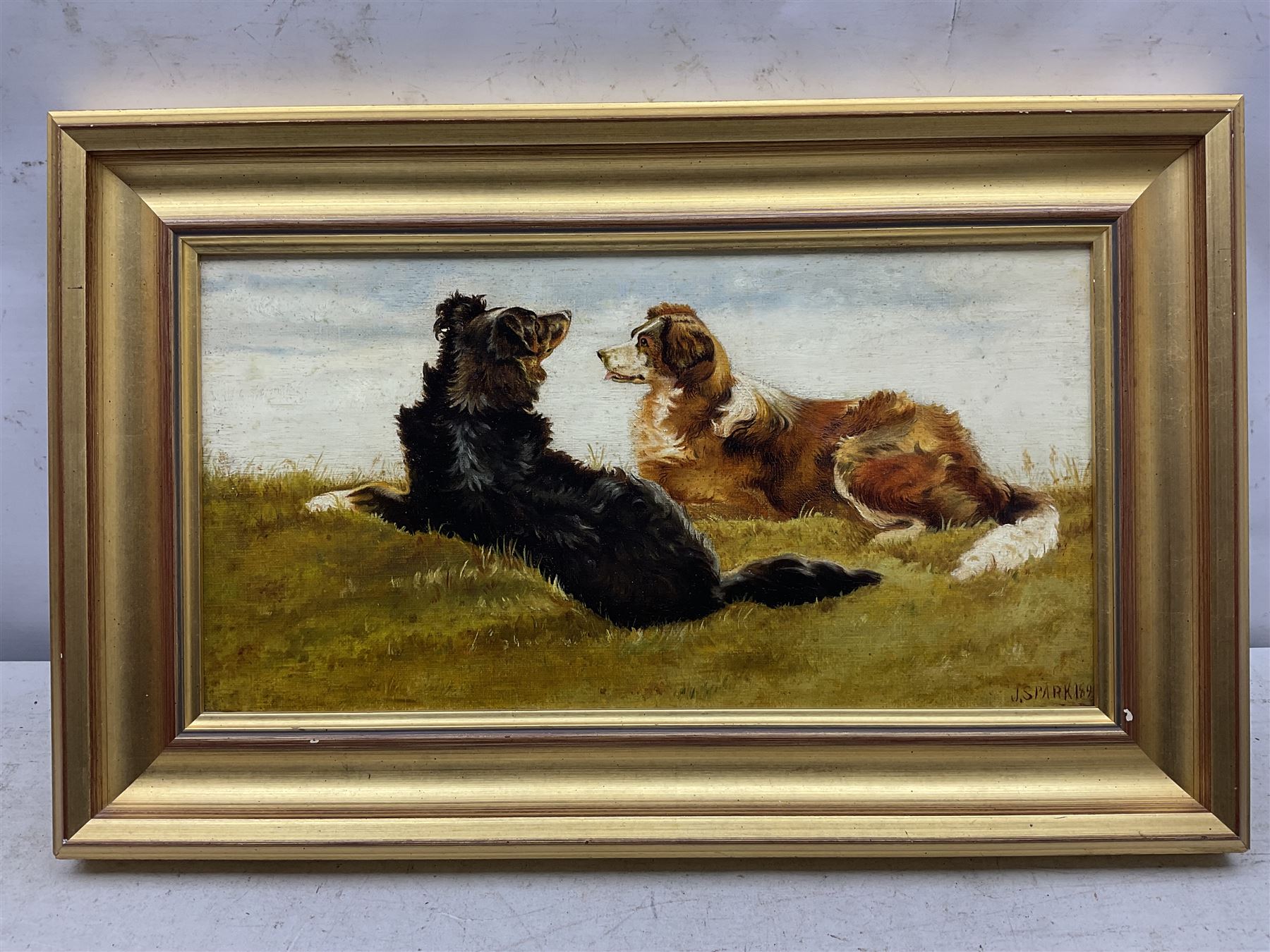 JS Park (British 19th Century): Border Collies, oil on board signed and dated 1895, 20cm x 39cm 