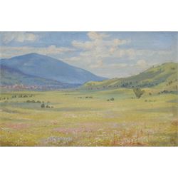 Ariana Bromley Martin (Early 20th century): 'Kramer Ammergau Alps Valley' oil on canvas signed with monogram ABM, labelled verso and dated 1907, 44.5cm x 29.5cm