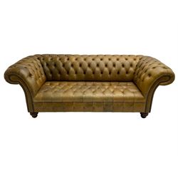 Two seat chesterfield sofa, upholstered in deep buttoned tan leather with studwork border, raised on turned feet