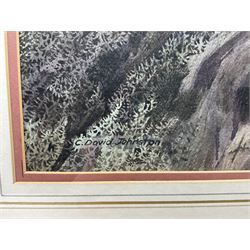 Cyril David Johnston (British 1946-): Peregrine Falcon, watercolour signed 53cm x 39cm