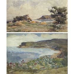 James Ulric Walmsley (British 1860-1954): Ravenscar viewed from Smailes Moor Farm, watercolour signed 16cm x 30cm; Sheila Walmsley (British mid 20th century): Spring Flowers above Robin Hood's Bay, watercolour signed 17cm x 25cm (2) 
Notes: Sheila was James Ulric's daughter.