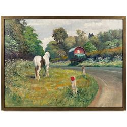 Malcolm Coward (British 1948-): Skewbald Horse, oil on canvas signed 44cm x 59.5cm