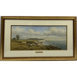 Harold Lawes (British 1865-1940): 'On the Coast of Devon', watercolour signed, titled on the mount 22cm x 51cm