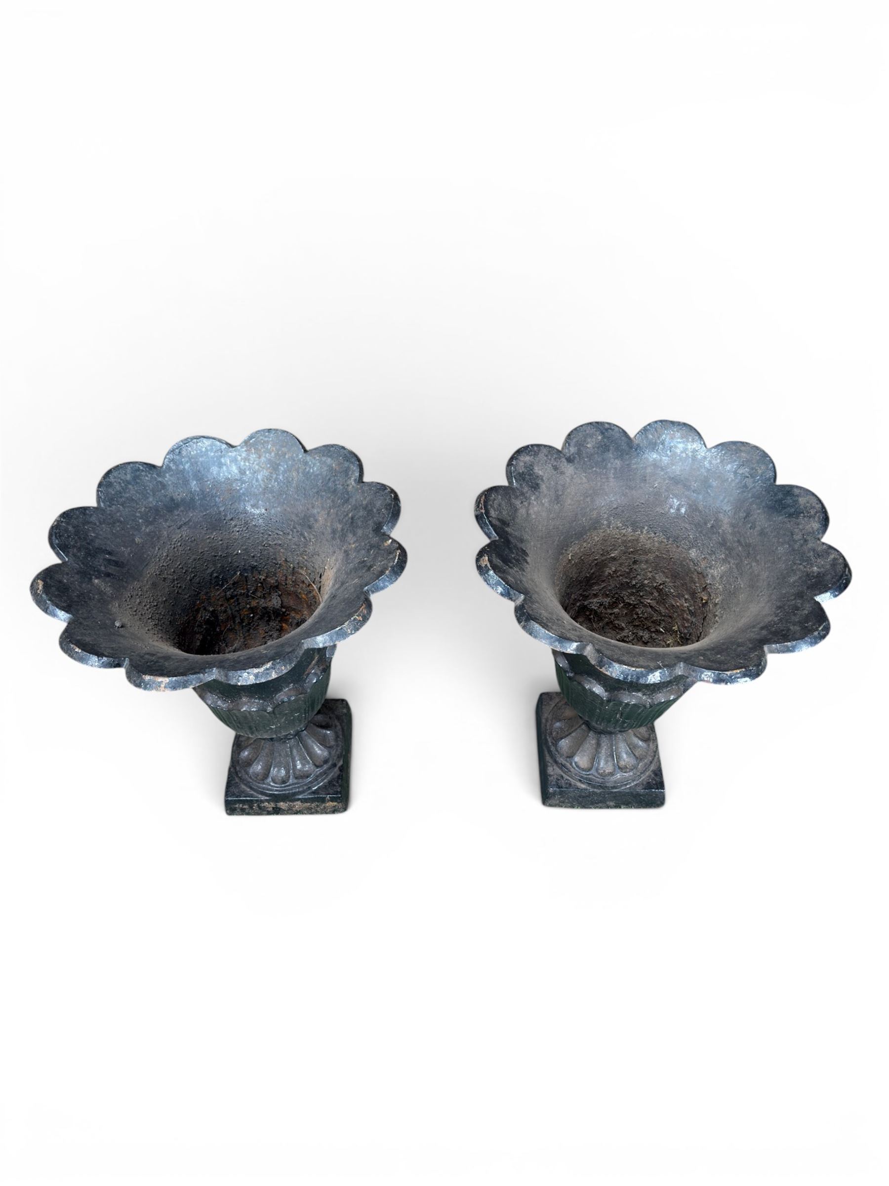 Pair of Victorian large scale cast iron garden urns, flared petal shaped rim with tapering waist, gadrooned base on square plinth, finished in black paint