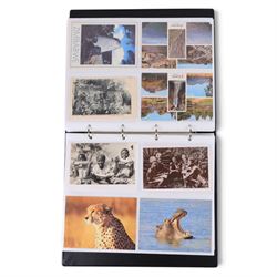 Collection of mid 20th century and later African postcards, including railways, Victoria Falls, Tribes, village scenes, etc, some blank and some with written messages, housed in two albums