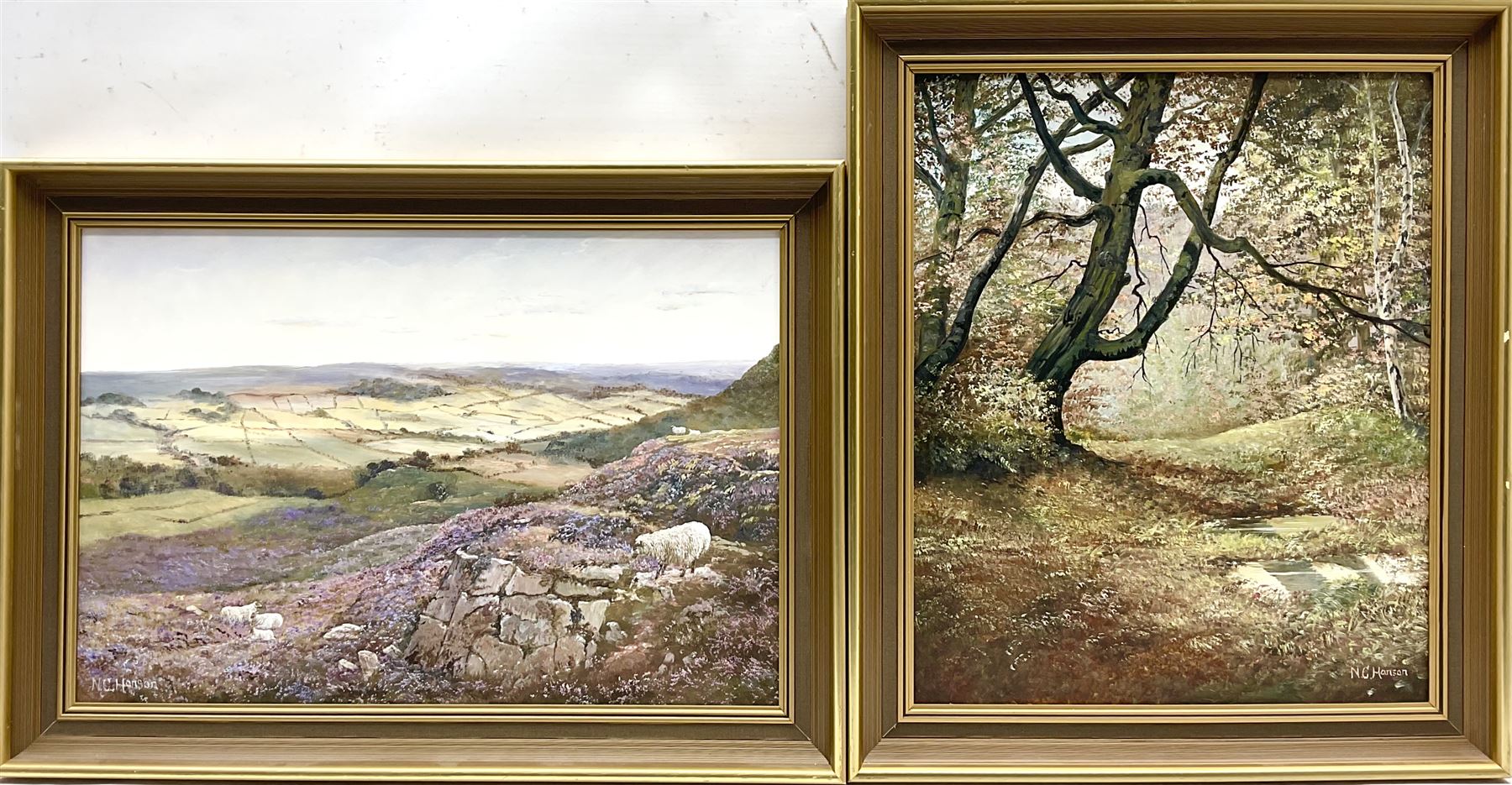 N C Hanson (British 20th century): 'Hob Crag Rosendale' and 'In Mulgrave Woods Sandsend', two oils on canvas signed max 33cm x 47cm (2)
