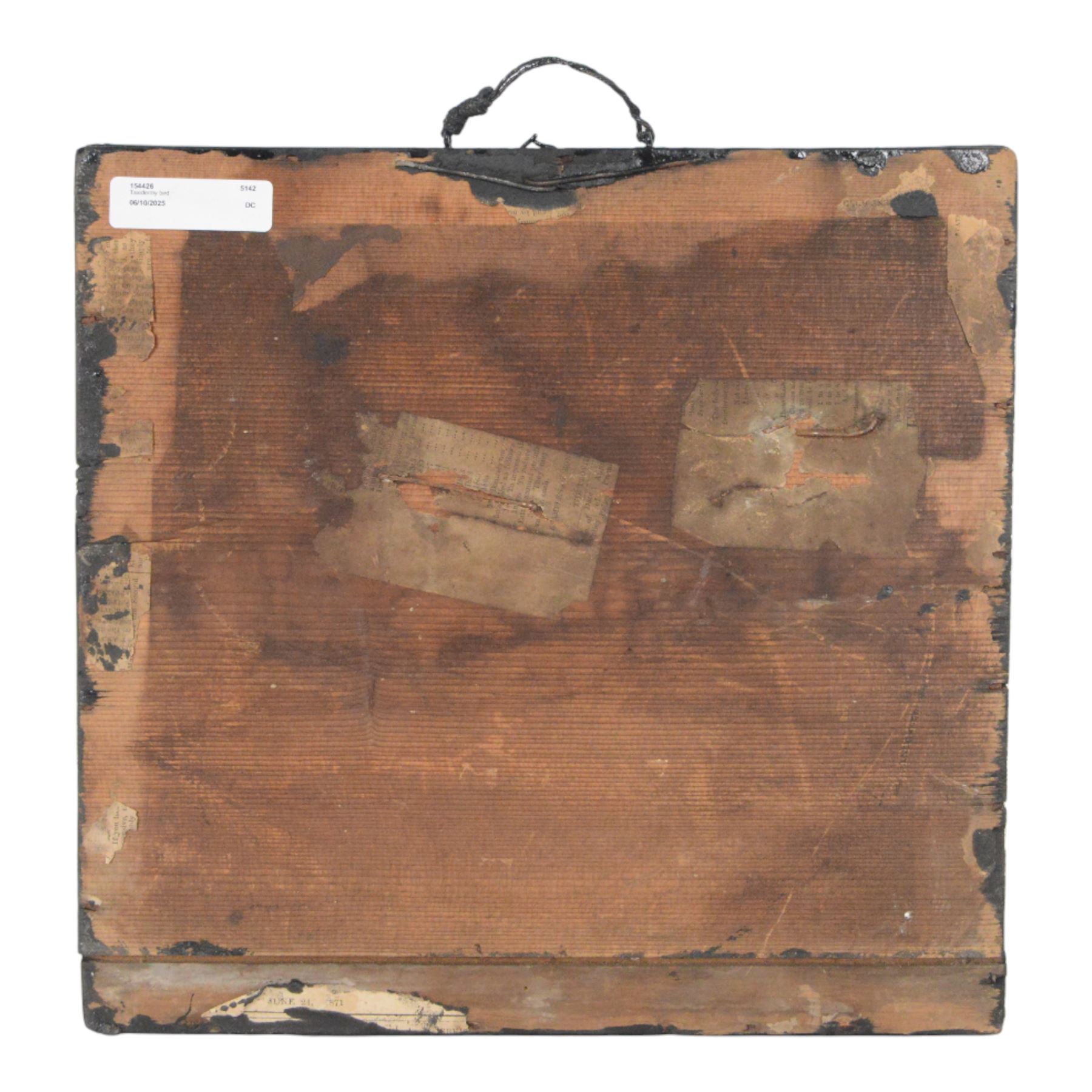 Taxidermy; cased bird diorama, comprising Kingfisher (Alcedinidae), Common Starling (Sturnus vulgaris) and Blue Tit (Cyanistes caeruleus), upon a branch,  encased within an ebonised three pane display case, H31cm 