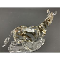 Swarovski Crsytal Society coloured animals, comprising zebra, giraffe and water buffalo, tallest H17.5cm