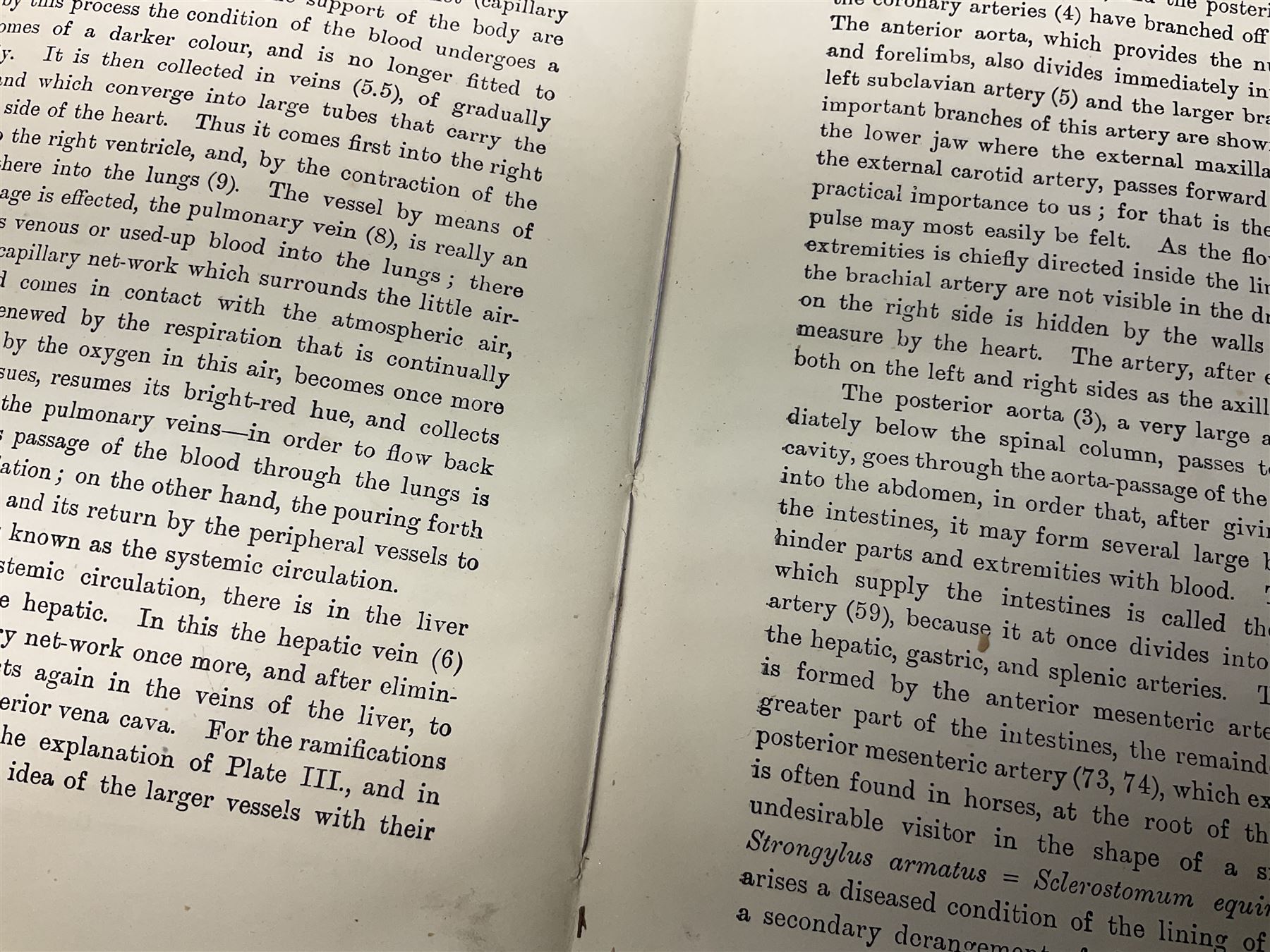 A. Schwarz, The Horse; Its External and Internal Organisation, An Illustrated Representation and Brief Description, Revised and Edited by George Fleming, London, George Philip & Son, with fold out anatomical plates