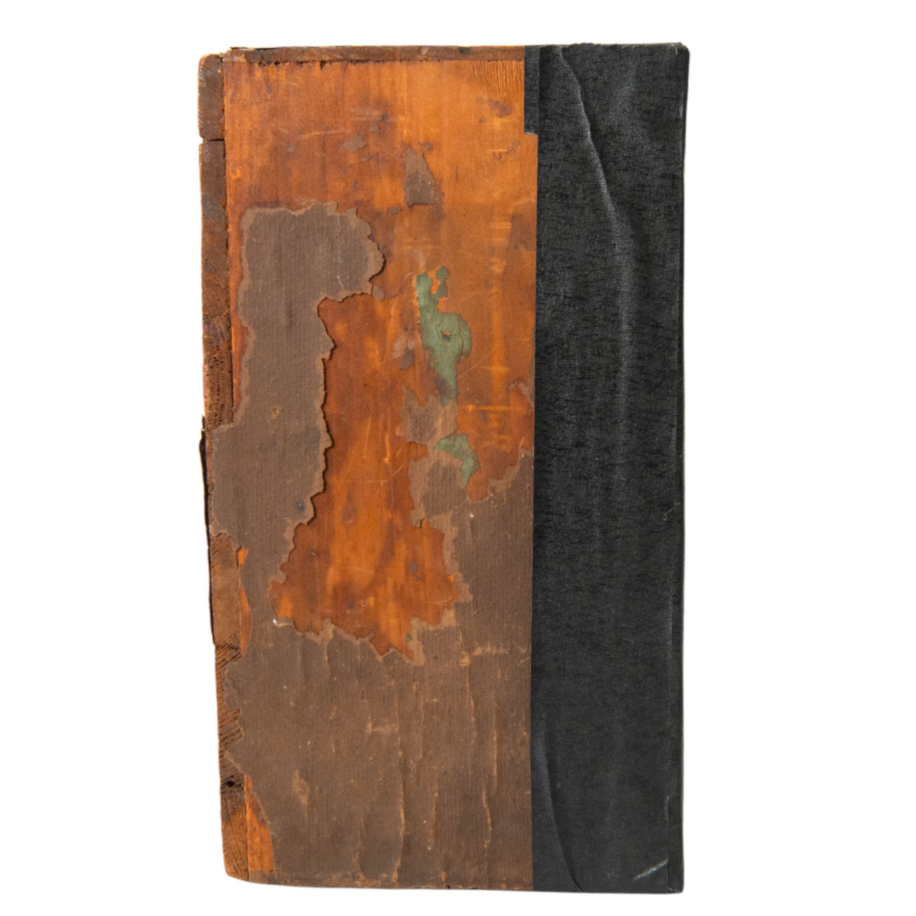 Taxidermy: Pair of Victorian White-throated Dippers (Cinclus cinclus), circa 1890, pair of full adult mounts, amidst a natural setting, encased with an ebonised single glass display case, H31cm, L45cm