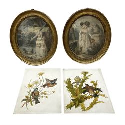 Two victorian oil paintings of birds in naturalistic settings on milk glass panels, together with two coloured etchings in gilt oval frames 