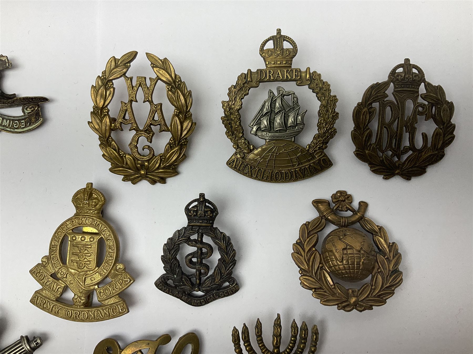 Seventeen cap badges including Expeditionary Forces Canteen, Machine Gun Corps, Tank Regiment, Jewish Battalions, Ordnance Corps, Medical Corps, Cyclist Corps, RFC & RAF, Veterinary Corps, Drake battalion etc (17)
