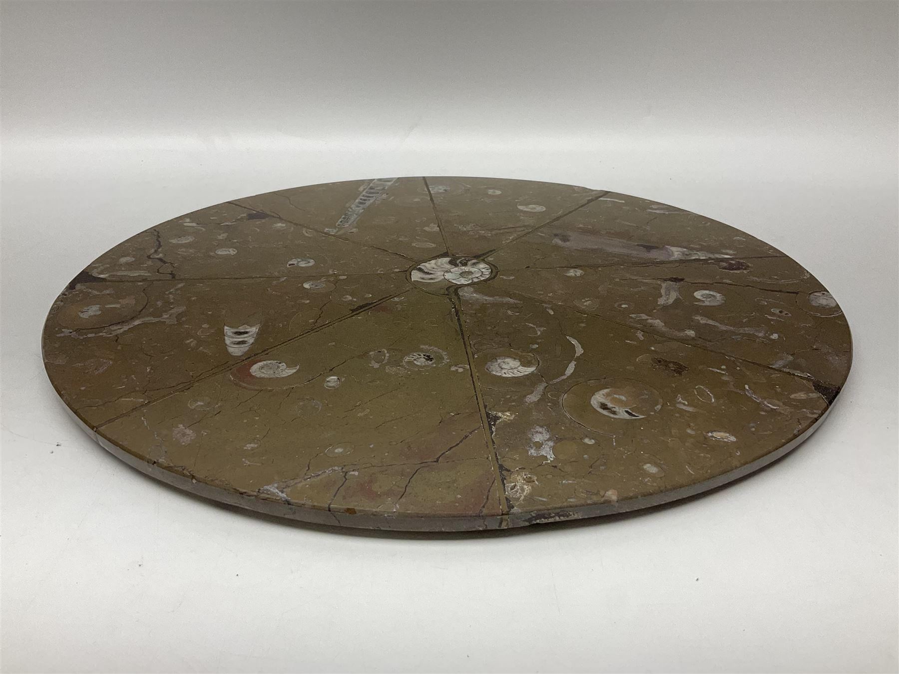 Circular limestone table top, with Orthoceras and Goniatite inclusions; age: Upper Devonian, location: Morocco, D45cm
