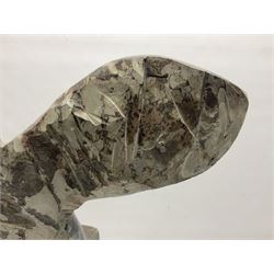 Goniatite sculpture, displaying two Goniatites within a polished and shaped matrix, age; Devonian period, H50cm