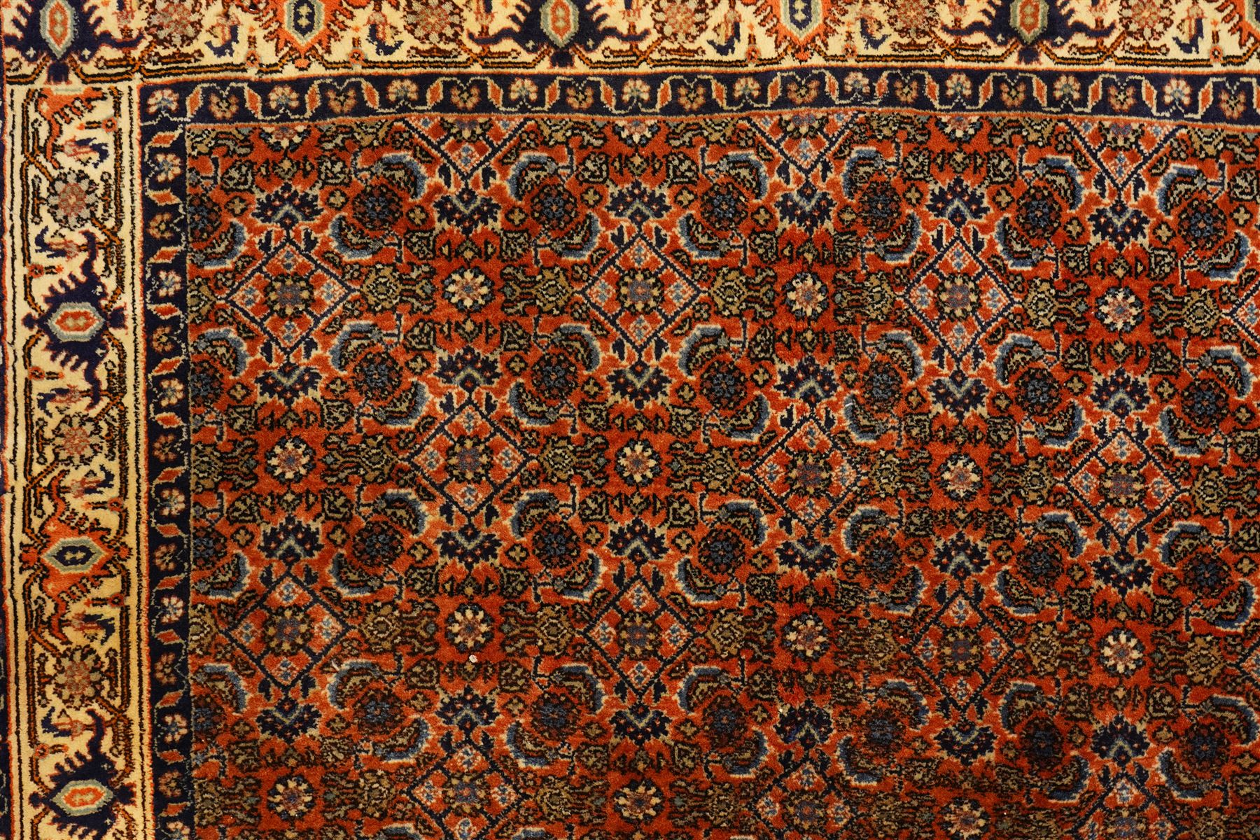 North West Persian Bidjar hand-knotted runner, terracotta field with a repeating mahi design of stylized rosettes and angular floral motifs within a lattice incorporating navy and ivory highlights, ivory principal border with a continuous angular vine of palmettes and serrated leaves, flanked b narrow guard brdoers, with cotton fringe ends 