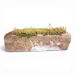 20th century rectangular sandstone trough planter, naturalistic rock form, planted with moss and succulents, weathered finish.