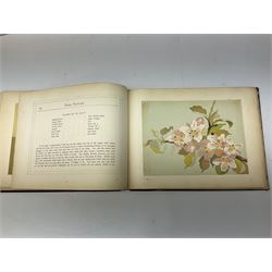 Mrs Beetons book of household management 1907 edition, together with Florence Lewis: China painting, 1884, with fifteen chromolithographic illustrations and Francis Chichester: Gypsy Moth Circles the World, Hodder & Stoughton, 1967, presentation edition, signed and No. 88/500 with jacket
