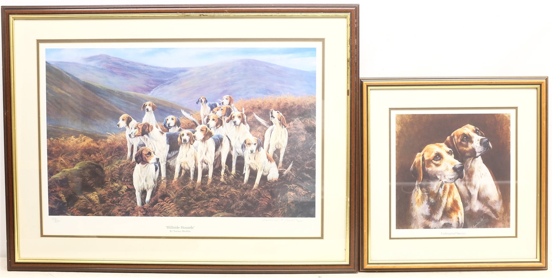 Terence Macklin (British 20th century): 'Hillside Hounds', colour print signed and numbered 156/850 in pencil, 'Endangered Species', colour print after Caroline Cook, and 'The Choice Pair', reproduction engraving, max 42cm x 60cm (3)