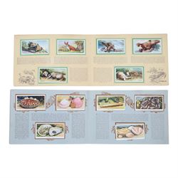 Collection of 20th century birthday cards and similar, together with children birthday cards, cigarette card albums and scrap book containing newspaper cuttings, programs and prints  