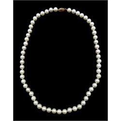 Single strand cultured white pearl necklace, with gold clasp stamped 14K, retailed by Tom Wing & Sons