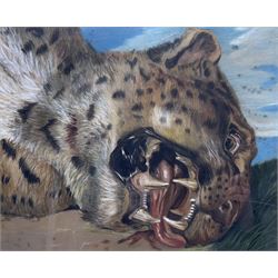 Continental School (20th Century): Leopard's Head, pastel unsigned 31cm x 37cm 