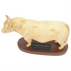 Three Beswick Connoisseur Cattle: Hereford Cow and Calf, Charolais Cow and Calf and Charolais Bull, all on wooden plinths, H20cm