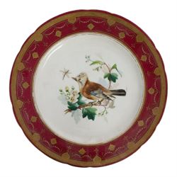 19th century Minton dessert plates, five decorated with a central ornithological study and four decorated with butterflied, each with within a red  and gilt board
