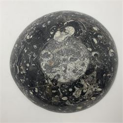 Circular dish with a raised goniatite, with orthoceras and goniatite inclusions, age: Devonian period, location: Morocco, D22cm, H5cm
