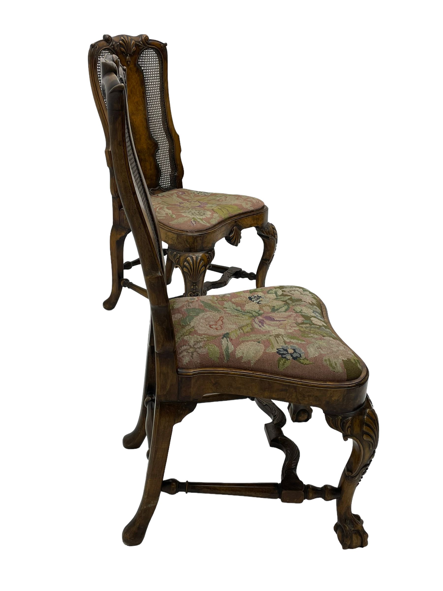 Pair of early 20th century Queen Anne design chairs, the cresting rail carved with scroll and central shell motif, shaped uprights and splat encased in cane work panels, shaped moulded seat frame with shell motif, floral needlework upholstered drop-in seat cushion, on shell carved cabriole supports with ball and claw feet, united by turned and shaped middle stretcher carved with acanthus leaf