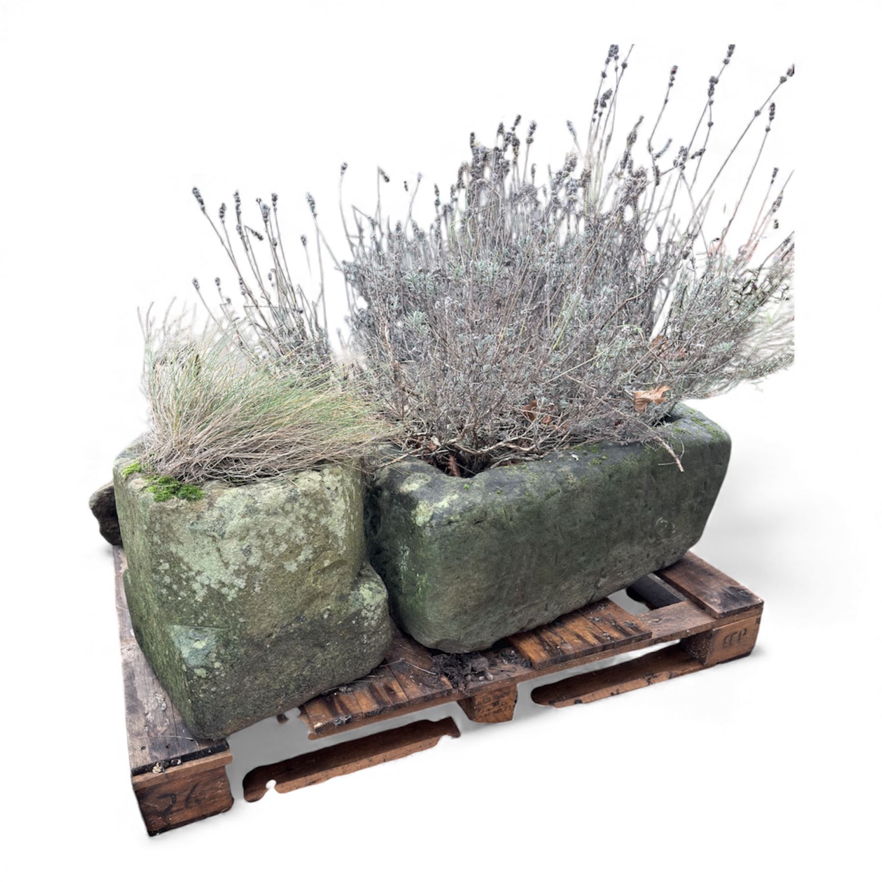 Two 19th century stone troughs with small stone planter