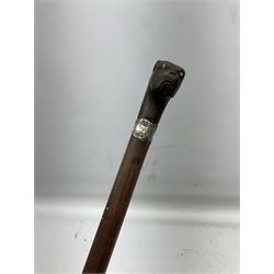 Walking cane with carved ebony handle modelled as a bull dog with pot eyes,  with white metal collar, L 99cms
