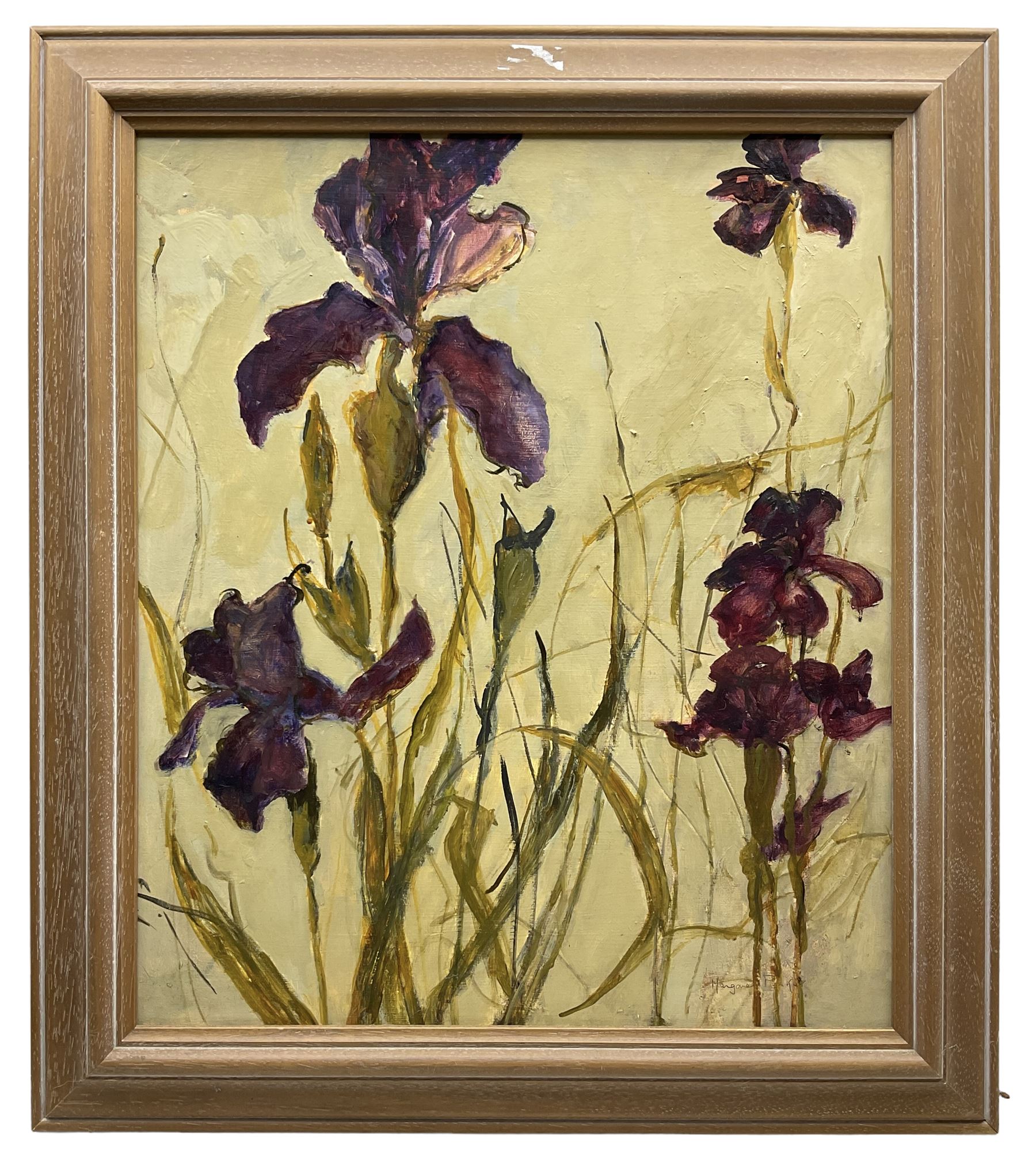 Margaret Parker (Northern British 1925-2012): Still Life of 'Irises', oil on board signed, labelled verso 53cm x 44cm