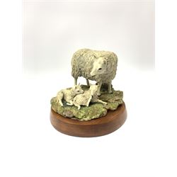 A limited edition Border Fine Arts figure, Cheviot Ewe and Lambs, by Mairi Laing Hunt, limited edition 109/250, upon circular wooden base, overall H12.5cm.