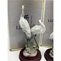 Two boxed Lladro figures, comprising courting cranes no 1611 and dancing crane no 1614, both with original boxes 