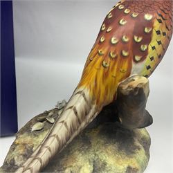 Royal Crown Derby Pheasant, signed by artist Lyndsey Selley, in original box, H38cm 