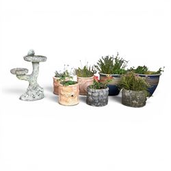 Pair of terracotta circular planters, bark design cast stone two branch bird bath, two small circular stone planters, and three composite circular planters (8)
