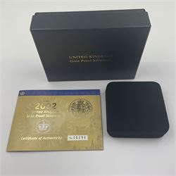 Queen Elizabeth II 2002 gold proof full sovereign coin, cased with certificate