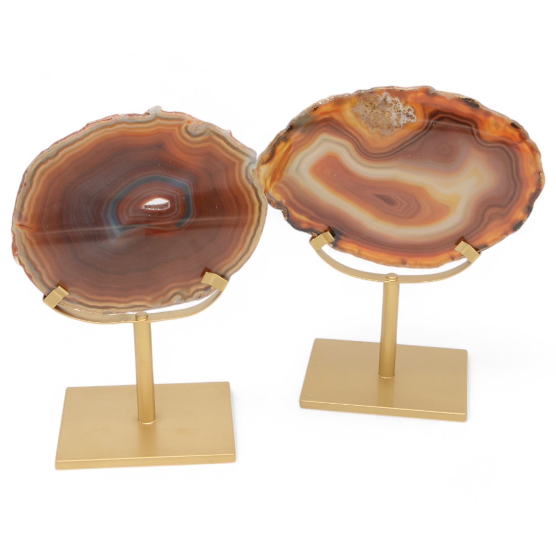 Pair of red agate slices, polished with rough edges raised upon gilt metal stands, H20cm