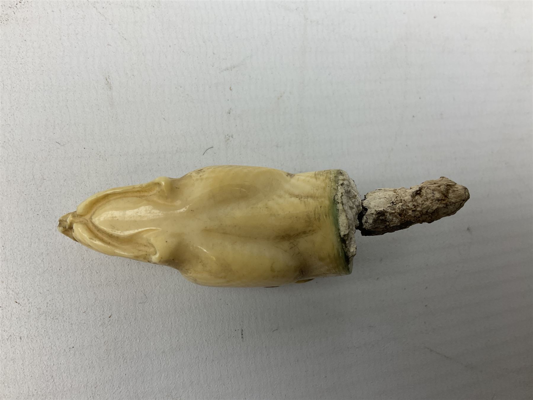 19th century carved ivory walking cane handle, modelled as the head of a greyhound with inset glass eyes, together with a further 19th century ivory example, modelled as a caricature of a gentleman's head, (2)