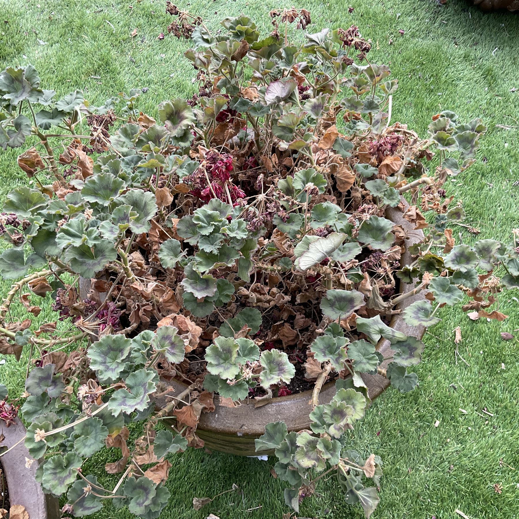 Two large circular painted garden pots - THIS LOT IS TO BE COLLECTED BY APPOINTMENT FROM DUGGLEBY STORAGE, GREAT HILL, EASTFIELD, SCARBOROUGH, YO11 3TX