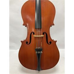 3/4 size cello with soft case, 69cm back length, 114cm full length 