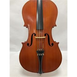 3/4 size cello with soft case, 69cm back length, 114cm full length, with bridge, ebonised tail piece and fingerboard.