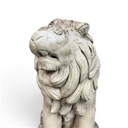 Pair of cast stone garden lions, seated on rectangular plinths