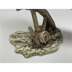 Border Fine Arts figure Barn Owl in Flight B1532, boxed with certificate, together with Country Artists figure Tawny Owl with Honeysuckle CA441, tallest H31.5cm