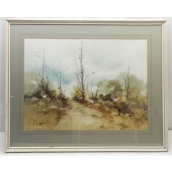 Phyllis Del Vecchio (American Contemporary): 'Brown November', watercolour signed, labelled verso 53cm x 72cm
