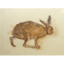 Lara Scouller (British 1983-): 'Brown Hare', pastel signed, titled and dated 2015 on label verso 51cm x 71cm 
Provenance: with Panter & Hall, London, label verso