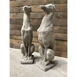 Pair of cast stone seated greyhounds, on square plinth base