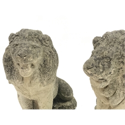 Pair weathered composite stone seated lions H65cm